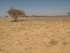 abaaro-1