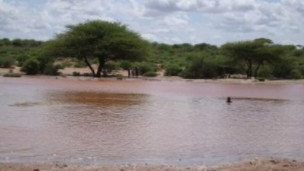 Roob lagu diirsaday oo ka da’ay deegaano hoostaga gobolka Mudug