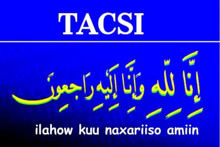 tacsi1-450x300