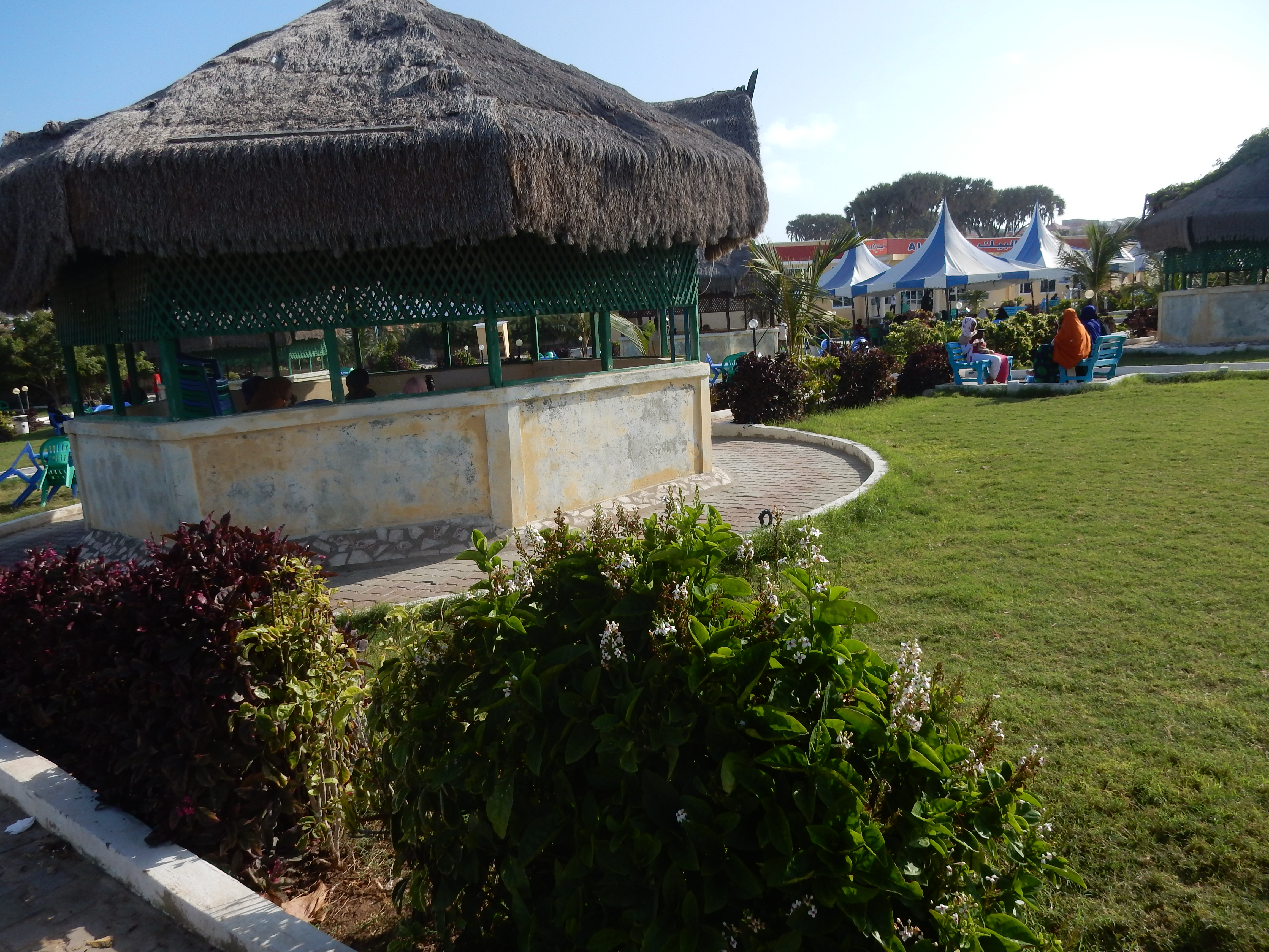 DSCN4652