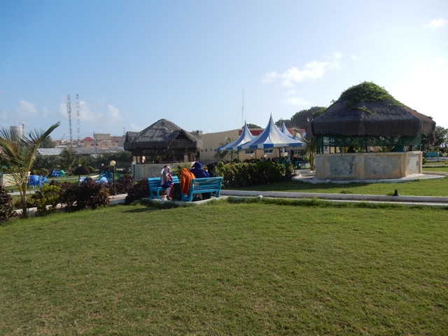 DSCN4656