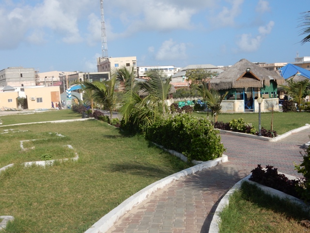 DSCN4666