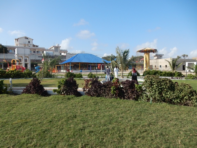 DSCN4720