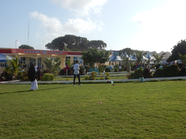 DSCN4731