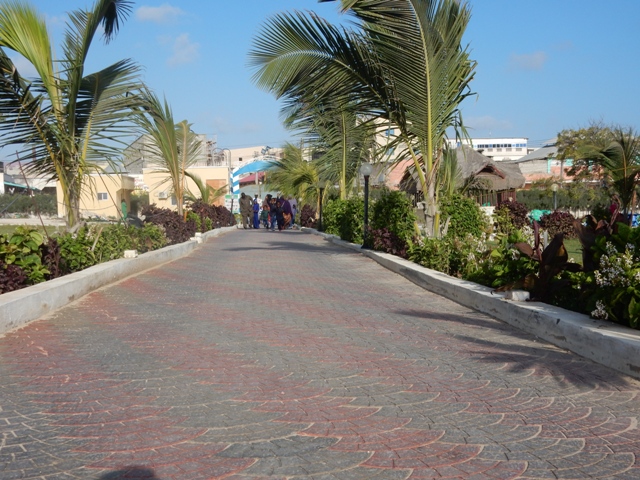 DSCN4732