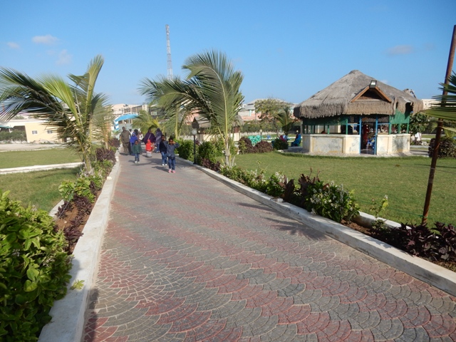 DSCN4734