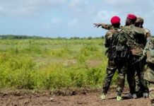 Ciidamada Danab oo kooxda Al-Shabaab ka saaray Kunturwaareey