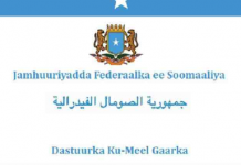 Waa muhiim in la tixgaliyo Tallooyinka bulshada ee dhinaca dib -u -eegista dastuurka