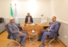 Minister of work visit Somali embassy in Cairo