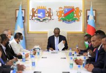Madaxweynaha Koonfur Galbeed oo shir guddoominayay kulanka Golaha Wasiirada “SAWIRRO”