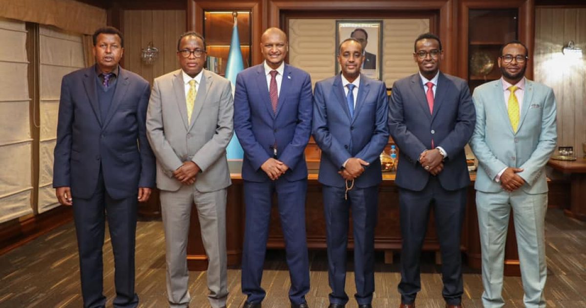 Ra’iisul Wasaare Rooble oo xafiiskiisa ku soo dhaweeyay ergadii DFS ku matalayay kiiska badddeenna